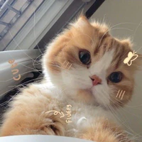 All ( trừ ai thì trừ )