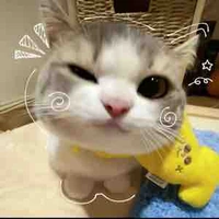 Nhỏ t/g 🫶🏻