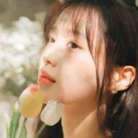 Hansara (mèo)