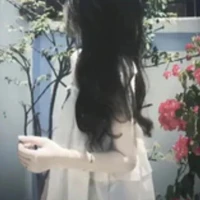 Mỹ Linh
