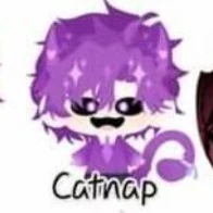 hiha catnap