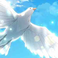 ❤️Shiro❤️Bồ Câu Tiểu Ác Quỷ❤️