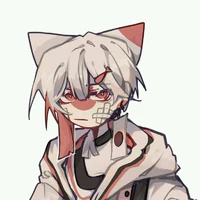 Nekomi Japan