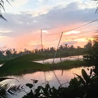 NVP