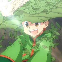 Gon Freecss