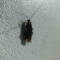 Tác giả suy tình ٩( ᐛ )و