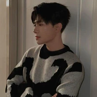 Bùi Anh Tú