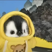 𝘊𝘩𝘪𝘮 𝘤𝘢́𝘤𝘩 𝘤𝘶̣𝘵 𝘯𝘰𝘯 :3