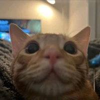 @𝒃𝒂𝒐𝒃𝒂𝒐