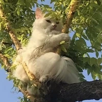 @𝒑𝒉𝒊𝒗𝒊𝒗𝒊