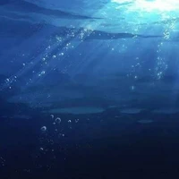 All có mặt tại hiện trường