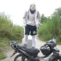 alpha