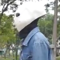 lost sans