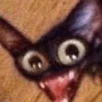 t/g