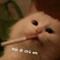 Tác giả sủa gâu gâu