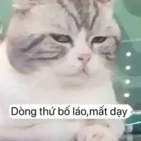 Nồi Cháo Thập Cẩm