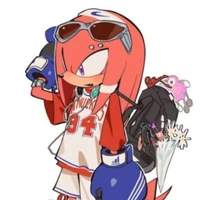 Knuckles_😡💢+•°