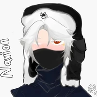 Navion