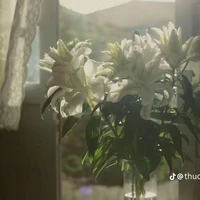 nhỏ t/g