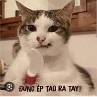 Hệ thống