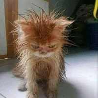 tg xink đẹp đáng iu 😍