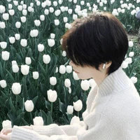 Hùynh Lâm Nguyên /LaamNguyenn_Tulip