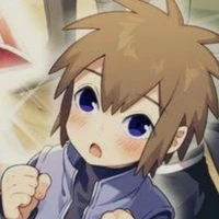 houki