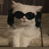 hệ thống hiphop(Mie)