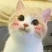 én ẹn èn en