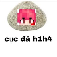 h1h4