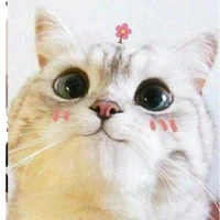 zuri ăn thịt độc giả