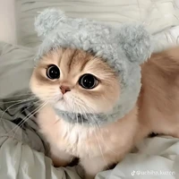 hệ thống176