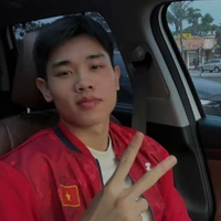 Nguyễn Đình Bắc (em họ việt anh)