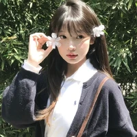 Linh Lam