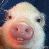 tg iu quý của các couuu :333