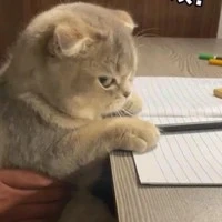 Hihi t/g đây:>