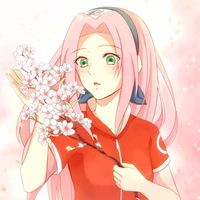 sakura