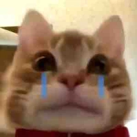 Tác giả ham ngủ 