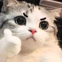 Tác giả
