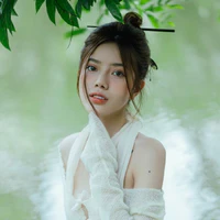 gv văn