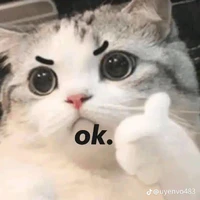 tất cả