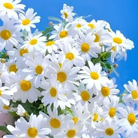 mọi người/nv quần chúng