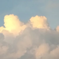 028
