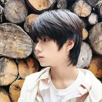 Vương Lỗ Kiệt.idol