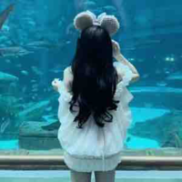 Thảo Vy