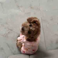 Siêu Anh Hùng🐏🪽