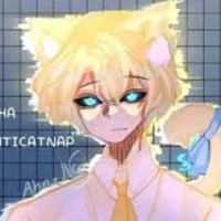 hiha anti catnap