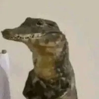 ? ? ?