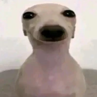 đố em biết tôi là ai~