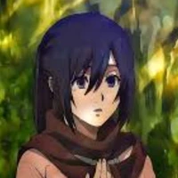 Mikasa ackerman